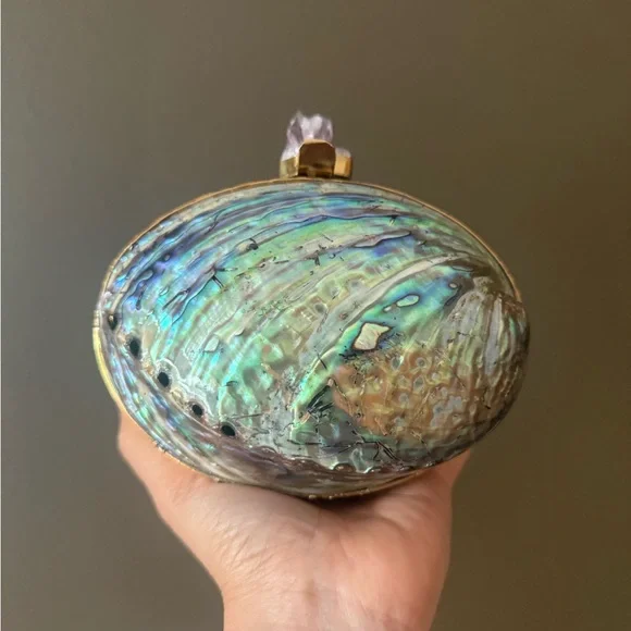 Iridescent Shell Clutch with Gold Accents - Picture 1 of 7